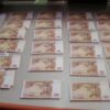 Austria helps bust counterfeit gang